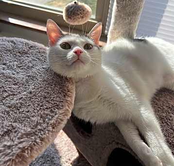 Photo of Trixi