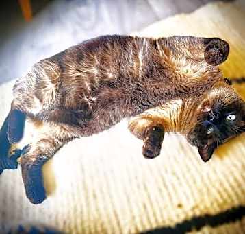 Photo of Lyle