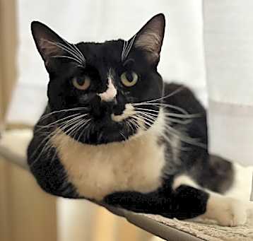 Photo of Doja
