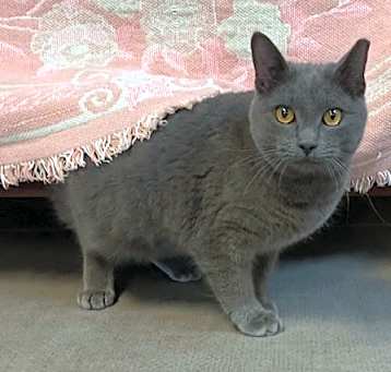 Photo of Elsa