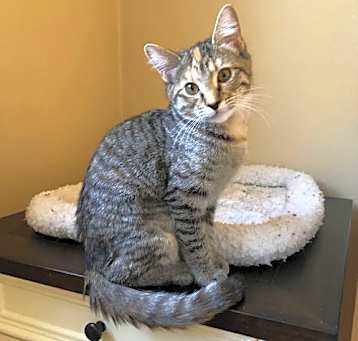 Photo of Artemis