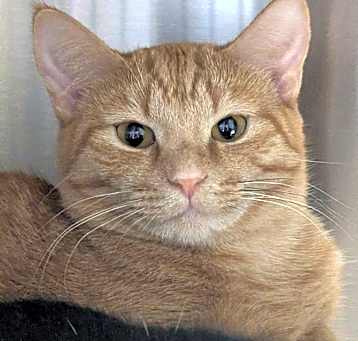 Photo of Cassidy