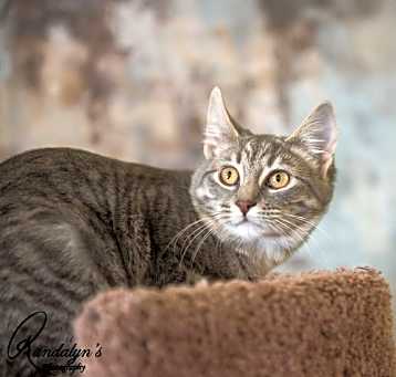 Photo of Jossie