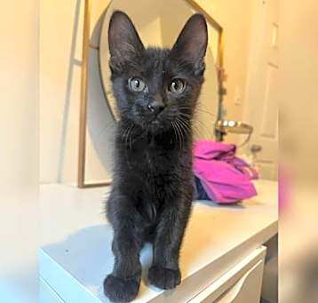 Photo of Honey