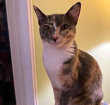 Photo of Mabel