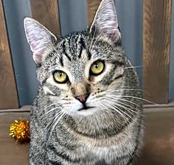 Photo of Bobby