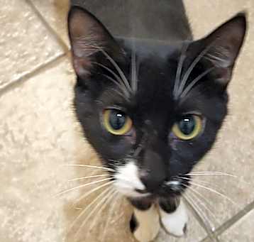 Photo of Socks
