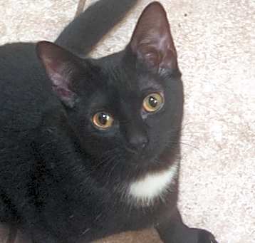 Photo of Missy
