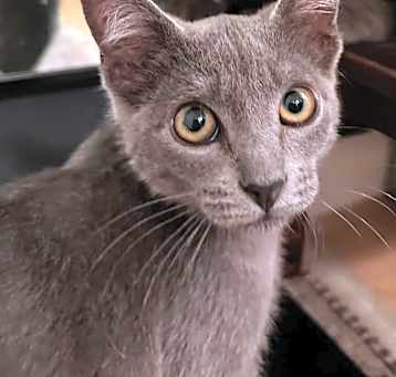 Photo of Lilly
