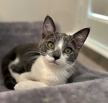 Photo of MagnusW