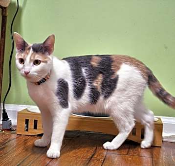 Photo of Maggie