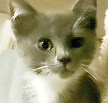 Photo of Beatrix J