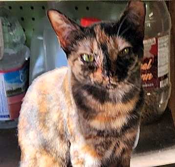 Photo of Kasey