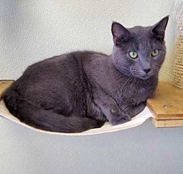 Photo of Tad