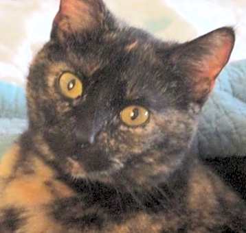 Photo of Myra