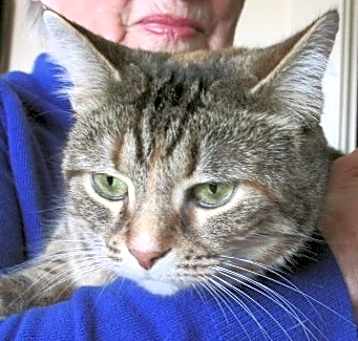 Photo of Roxy