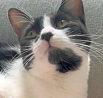 Photo of Salsa
