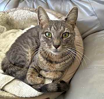 Photo of Zelda
