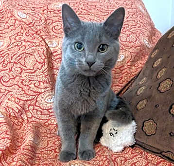 Photo of Grayson