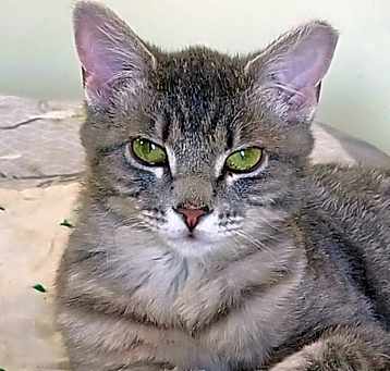 Photo of Holly