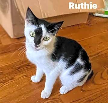 Photo of Ruthie