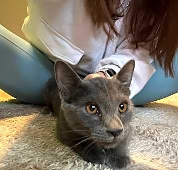 Photo of Hunter