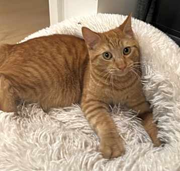 Photo of Vincent