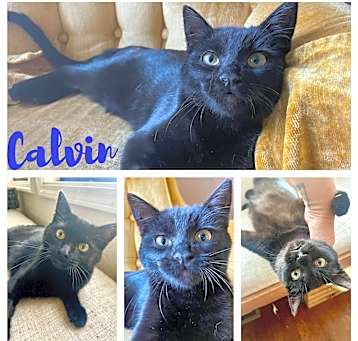 Photo of Calvin