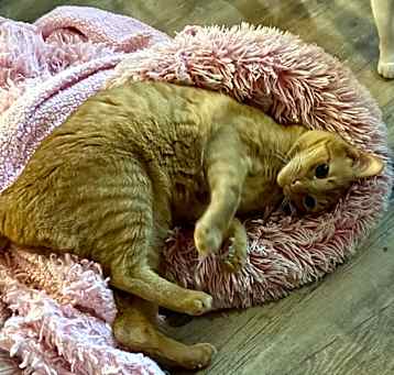 Photo of Gatsby