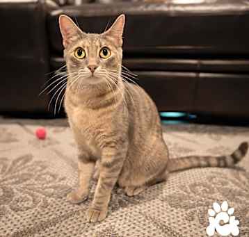 Photo of Missy