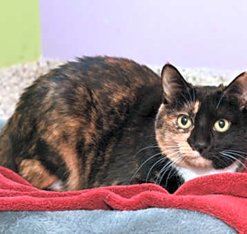 Photo of Lucy