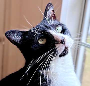 Photo of Luz