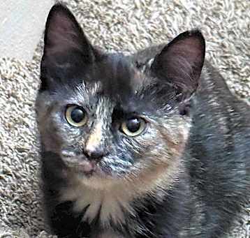 Photo of Ramona