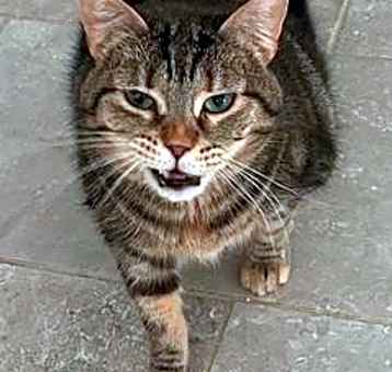 Photo of Matilda