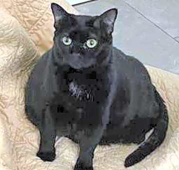 Photo of Talia