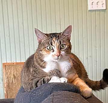 Photo of FRANNIE