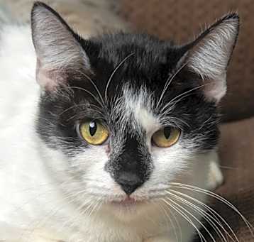 Photo of Arlene