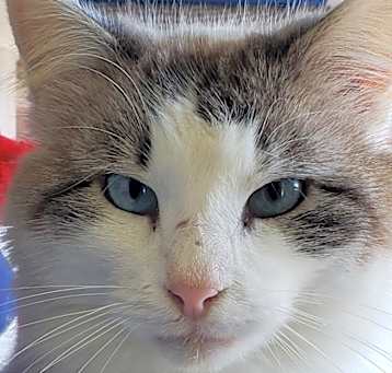 Photo of Jethro