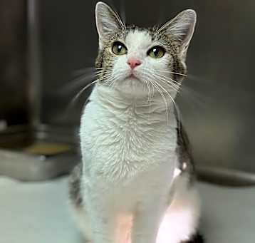 Photo of Hera (Sophie)