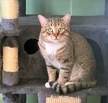 Photo of Stanley