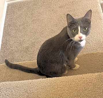 Photo of Bell