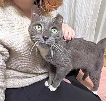 Photo of Winnie
