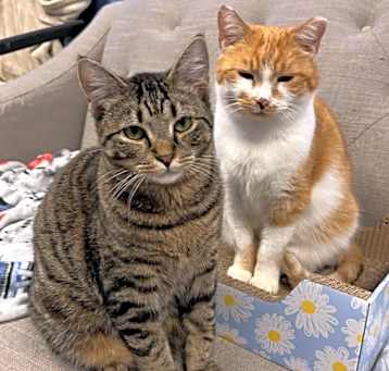 Photo of Honey Bunny + Wendell