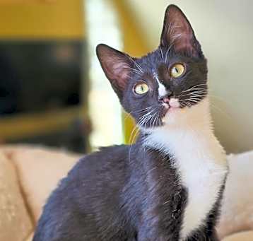 Photo of Shuri