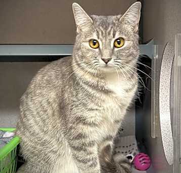 Photo of Ellie