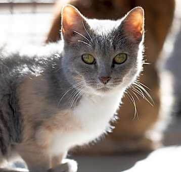 Photo of Sally