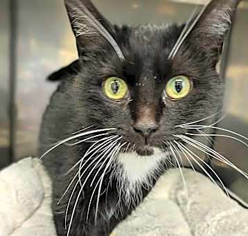 Photo of Bootsie