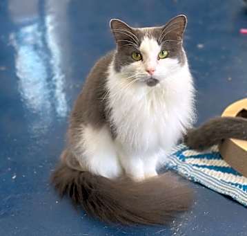Photo of Lucy Lou