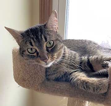 Photo of Dharma