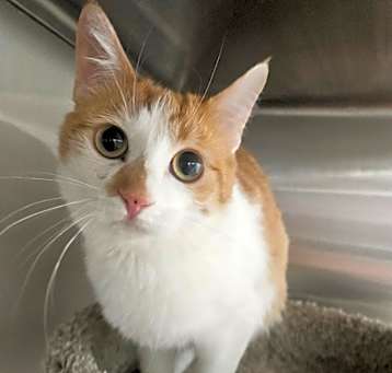 Photo of Kalena